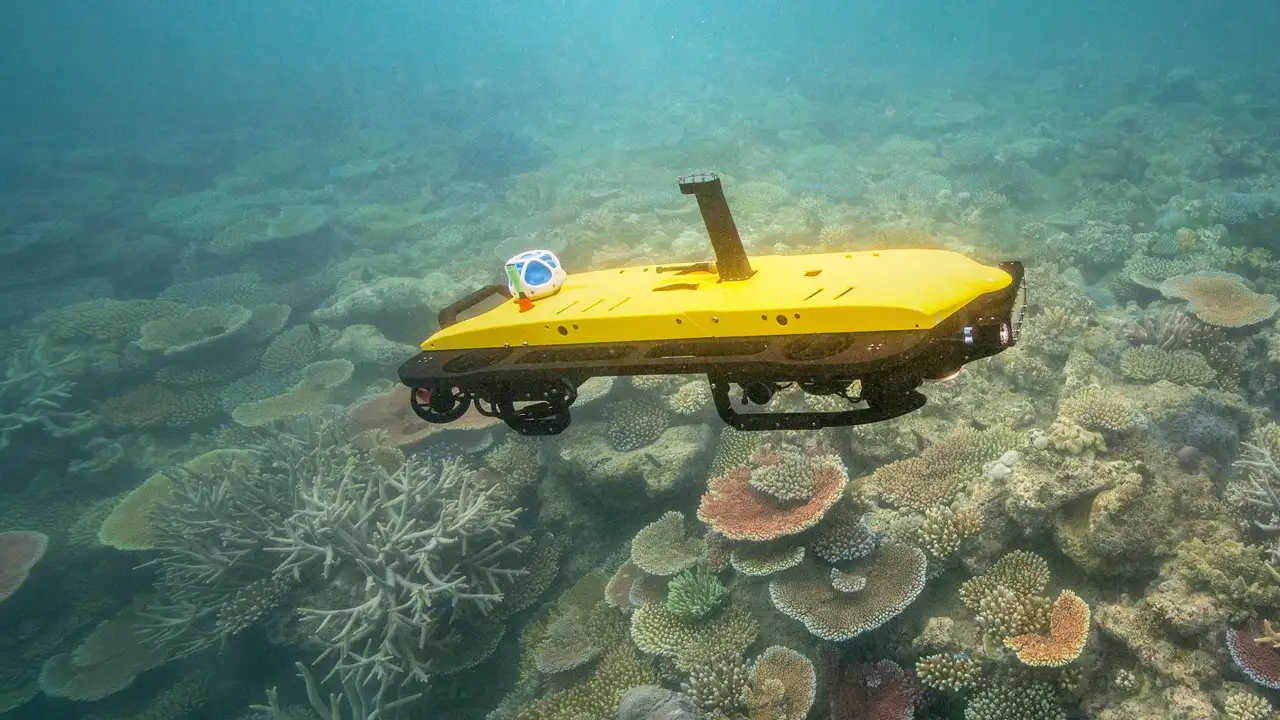 Uma foto subaquática mostrando um dispositivo robótico (que se parece com uma estrutura de coral artificial ou um pequeno submarino amarelo/laranja) fixado no fundo do mar, cercado por peixes e corais reais.