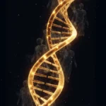 Representação visual do DNA Marcado e memória genética.