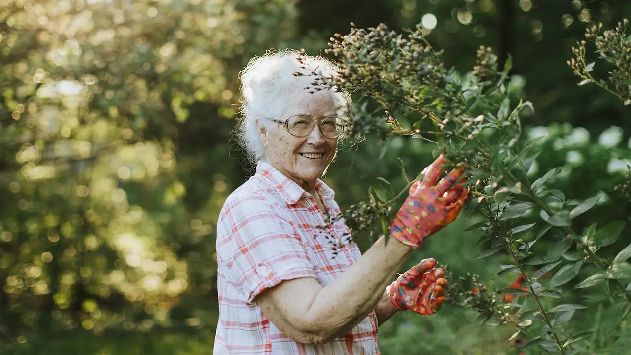 Paisagem das Zonas Azuis mostrando dieta saudável e convívio social para longevidade.
