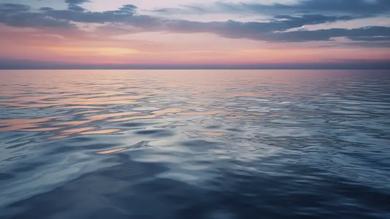 Tratado do alto mar da ONU